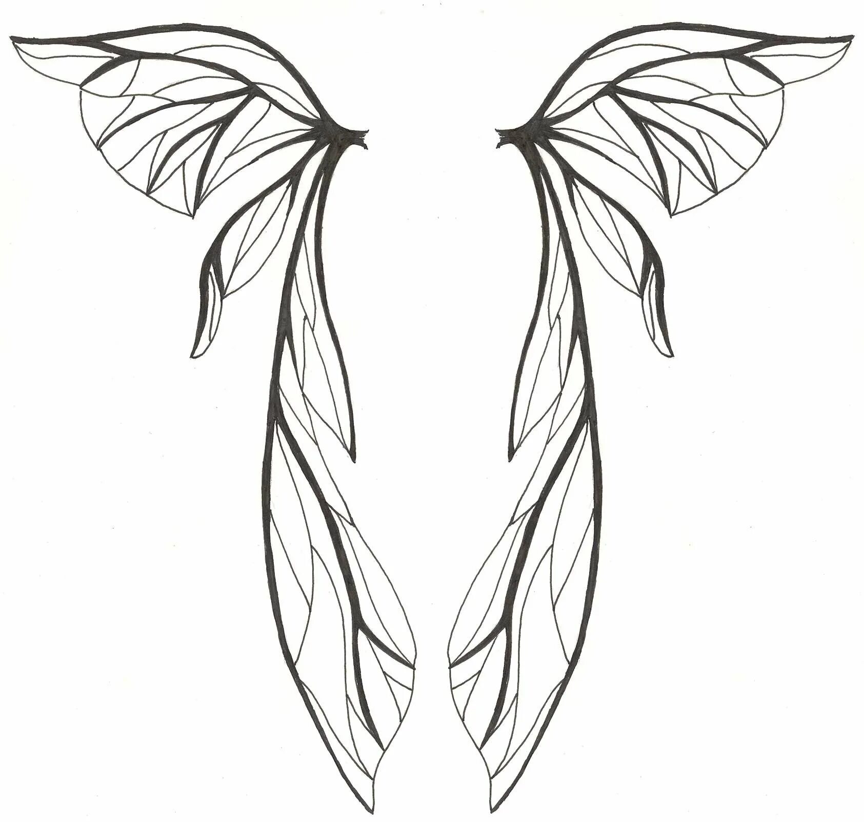 Простые крылья бабочки. Крылья фей референсы. Крылья феи референс. Крылья тату эскиз. Крылья феи.