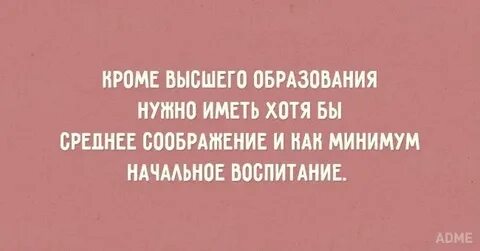 Почему высшее образование не нужно