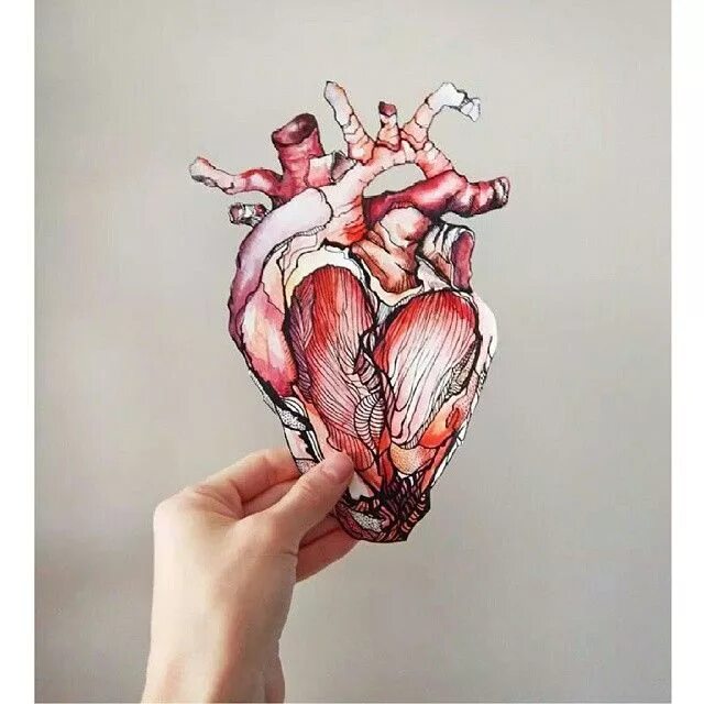 This heart of mine. Сердце акварель. Сердце рисунок акварелью. Анатомическое сердце акварель. Человеческое сердце акварелью.