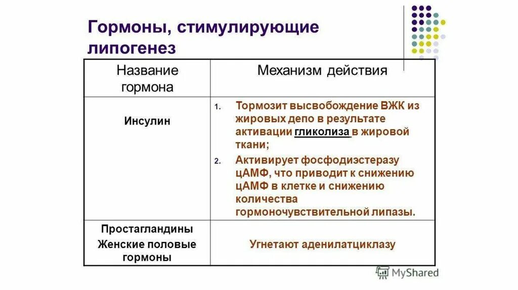 Липолиз стимулирует гормон. Аллостерическая регуляция ферментов. Липолиз стимулирует гормон. Гормоны активирующие липолиз. Гормоны усиливающие липолиз и механизм действия.
