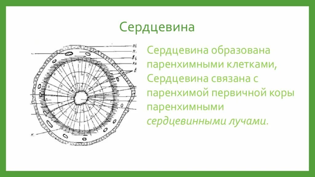 Описание вышло покурить и не вернулось.