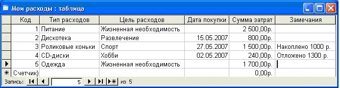 Не введена информация о расходах. Таблица Мои расходы. База данных расходы. Таблица Мои расходы access. Тип расходов цель расходов Дата покупки сумма затрат таблица.