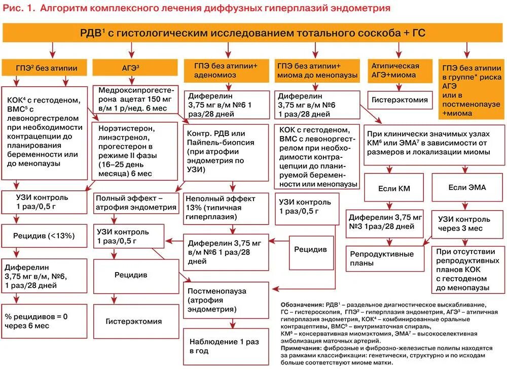 Лечение гиперплазии в постменопаузе. Схема терапии эндометриоз. Гиперплазия эндометрия клинические рекомендации диагноз. Патогенез гиперплазии эндометрия схема. Гиперплазия эндометрия схема лечения.