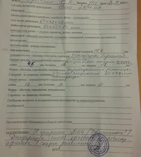 Какие узи по гинекологии