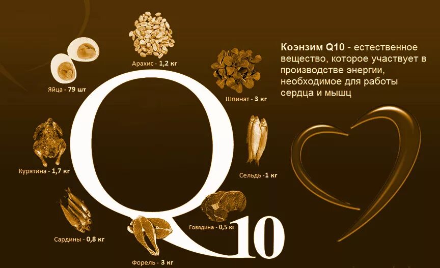 Аналог ку 10. Источники коэнзима q10. Коэнзим q10 в каких продуктах. Коэнзим q10 в продуктах. Продукты содержащие коэнзим q10.