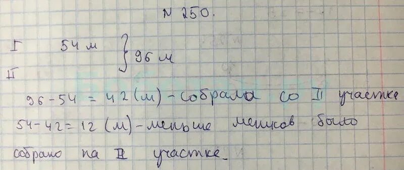 Н Я Виленкин номер 250. Номер 250. 5 Класса 250 решение.