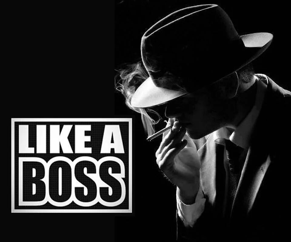 Я Boss. Like a Boss. Boss картинка. Картинка лайк а босс.