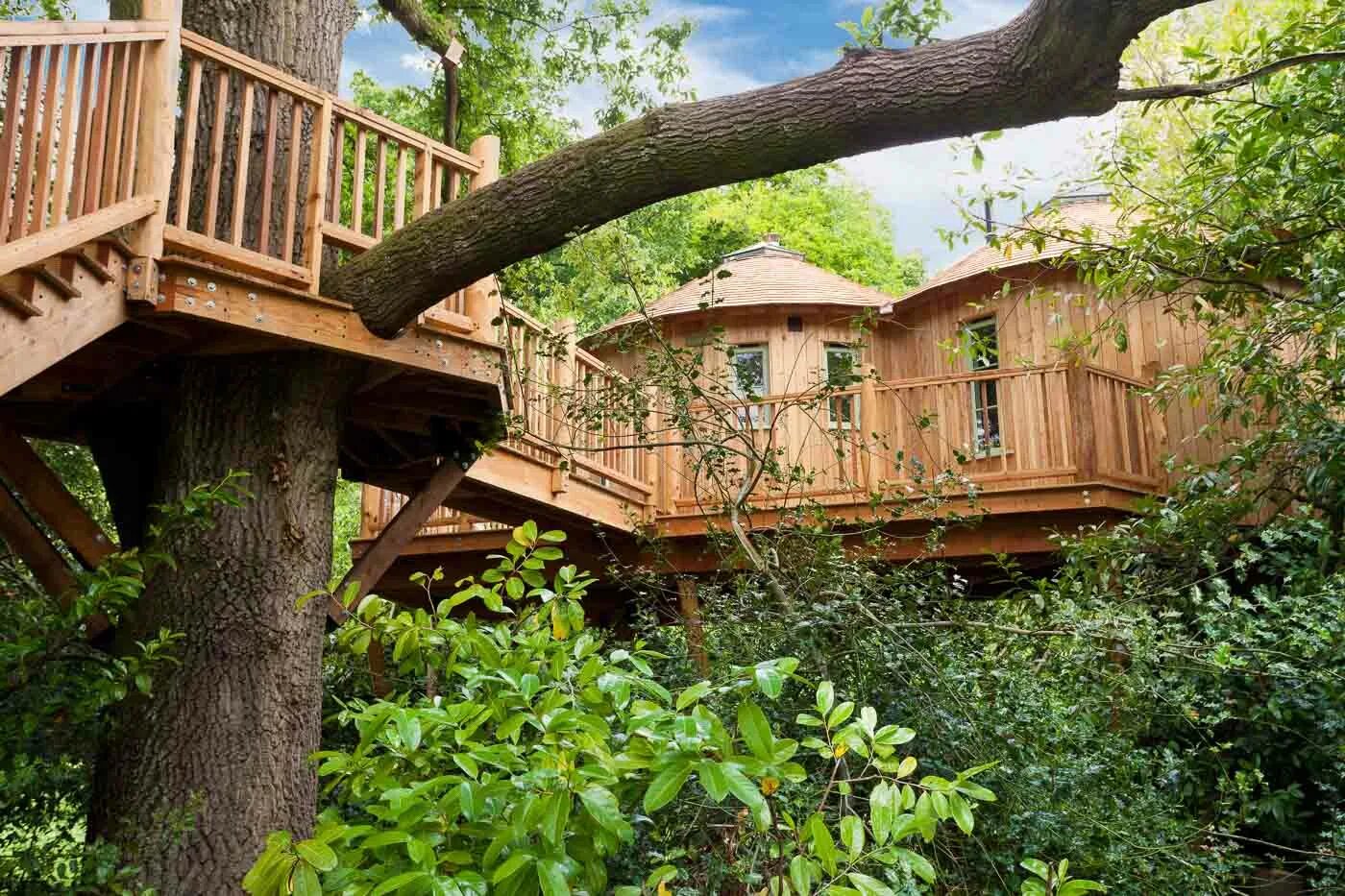 It s a tree house. Отель treehouse домики на деревьях. дом на дереве, пуатье отель. эко отель на деревьях железноводск. экоотель в подмосковье на деревьях.