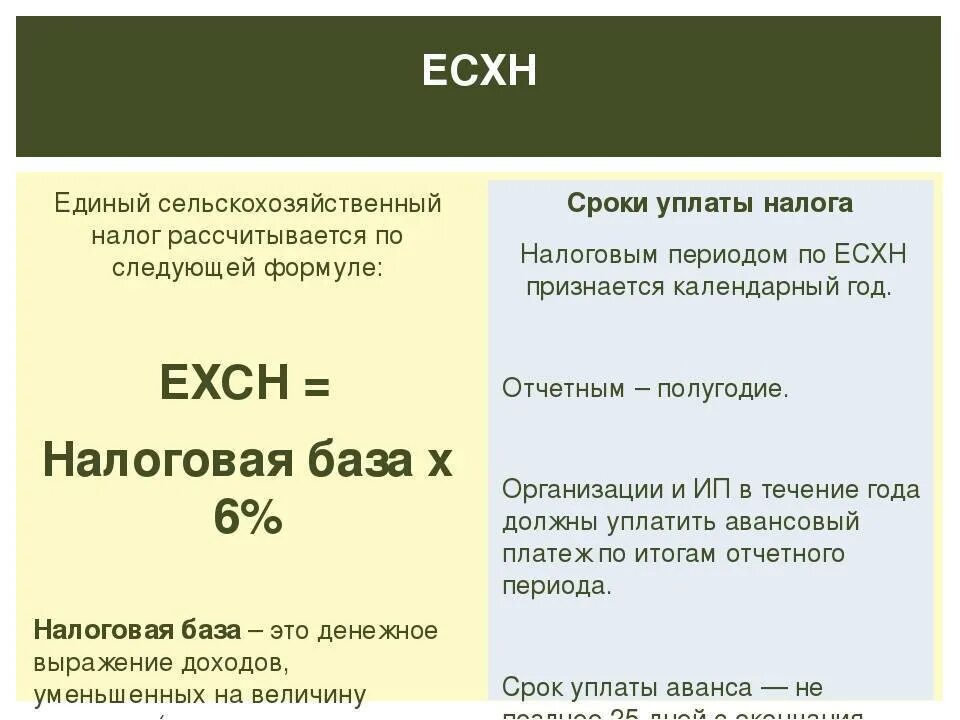 Срок оплаты есхн за 2023 год