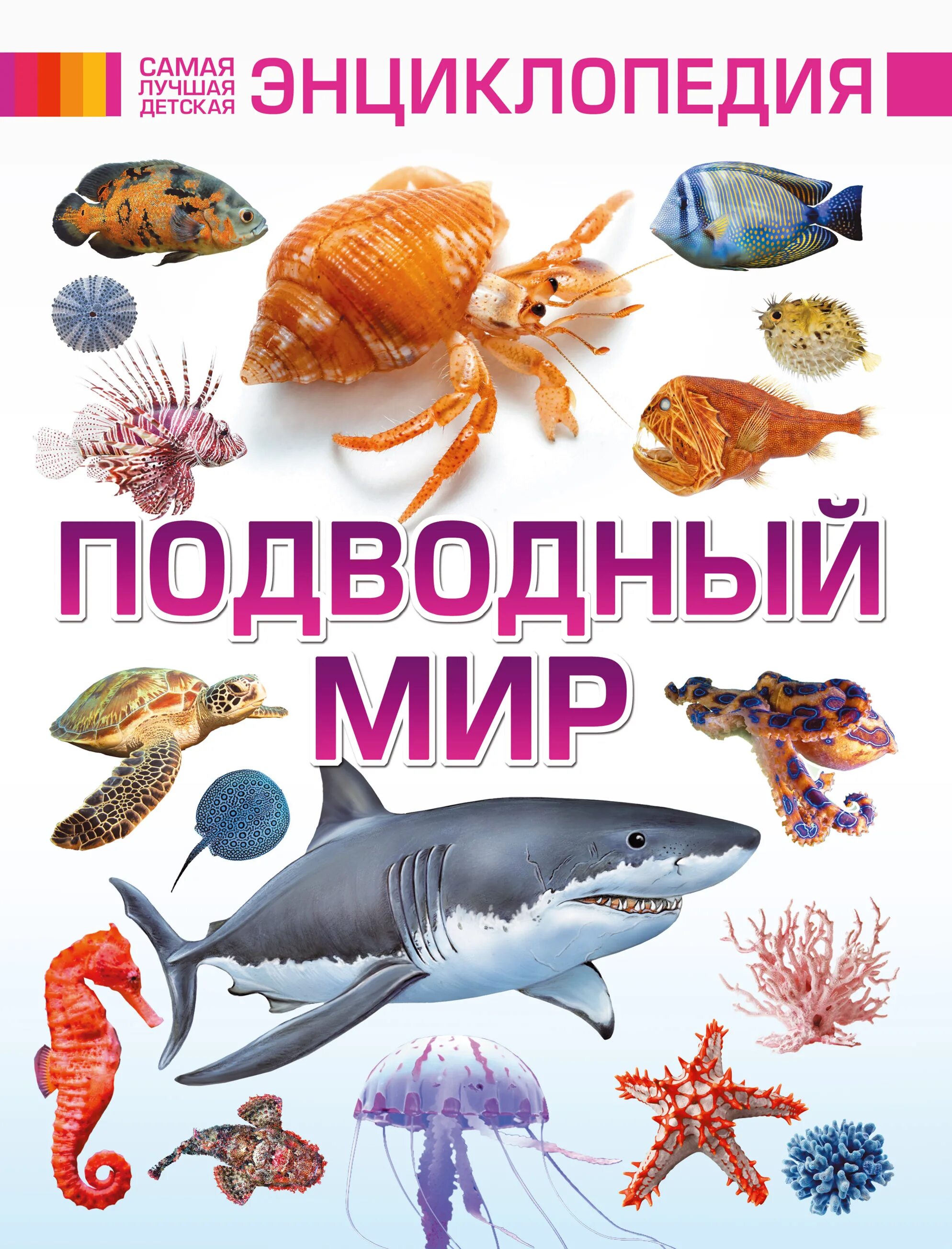 Подводный мир энциклопедия для детей. Детская энциклопедия. Книги про морских обитателей для детей.