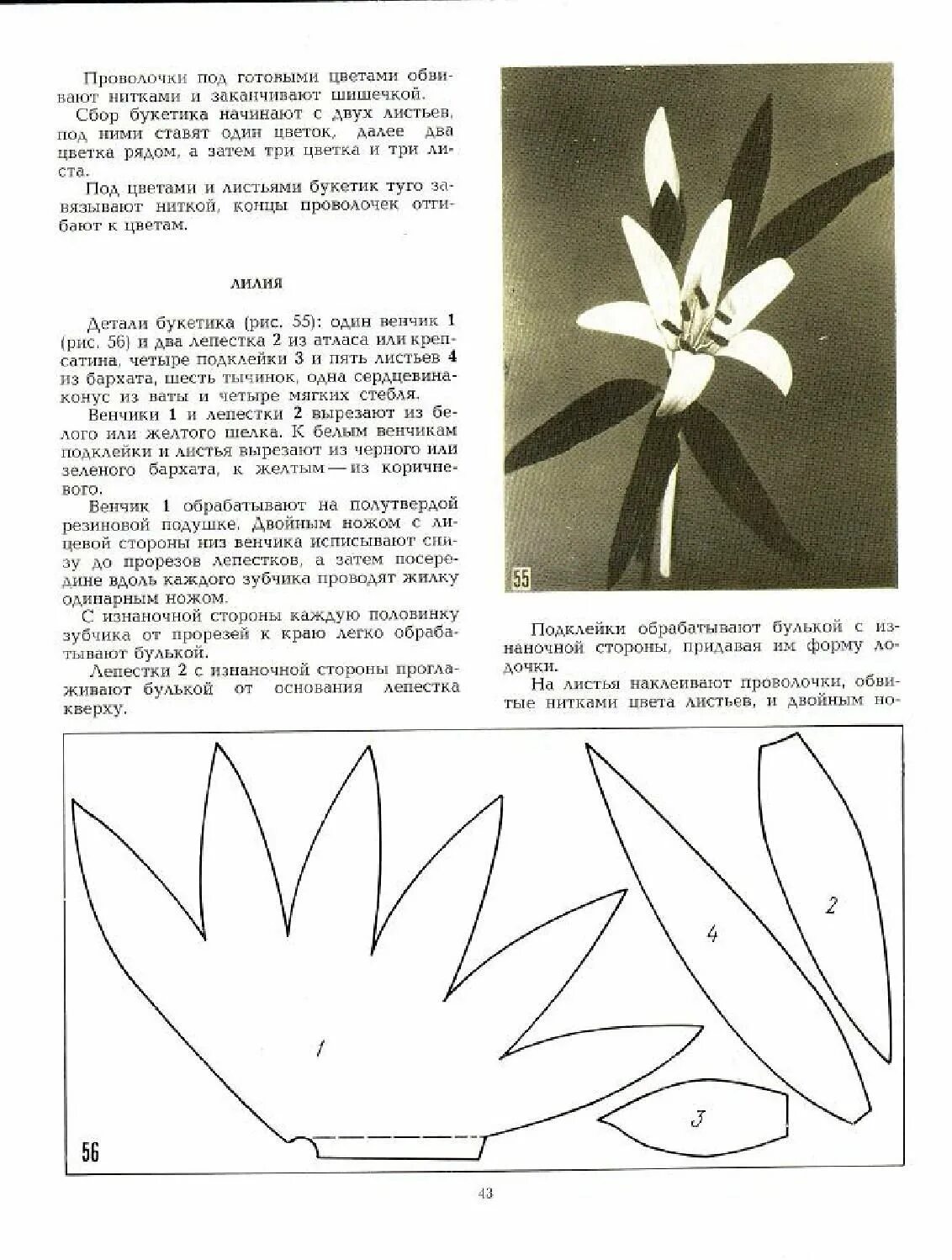 Форма листьев лилии. Лилия выкройка лепестков и листьев. Выкройка цветка лилии. Выкройка цветов из фоамирана Лилия. Схема лилии из фоамирана.
