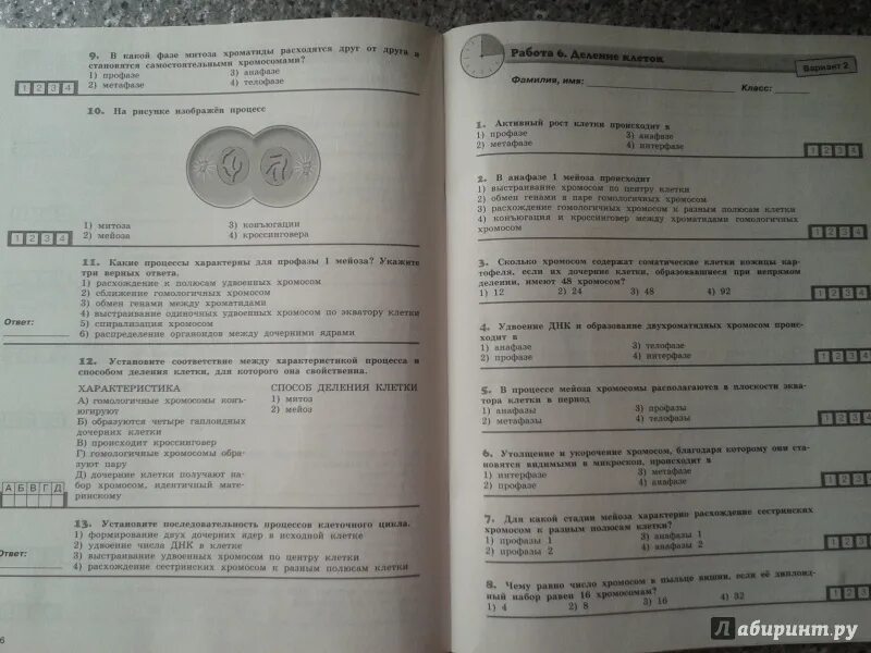 Диагностическая по биологии 8 класс. Диагностические тесты биология 8 класс. Биология экспресс диагностика 8 класс. Биология экспресс диагностика 8 класс Рохлов.