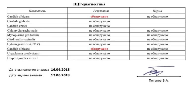 Кандида альбиканс норма в мазке. Candida albicans норма у женщин в мазке. ПЦР на кандиду. Кандида зева