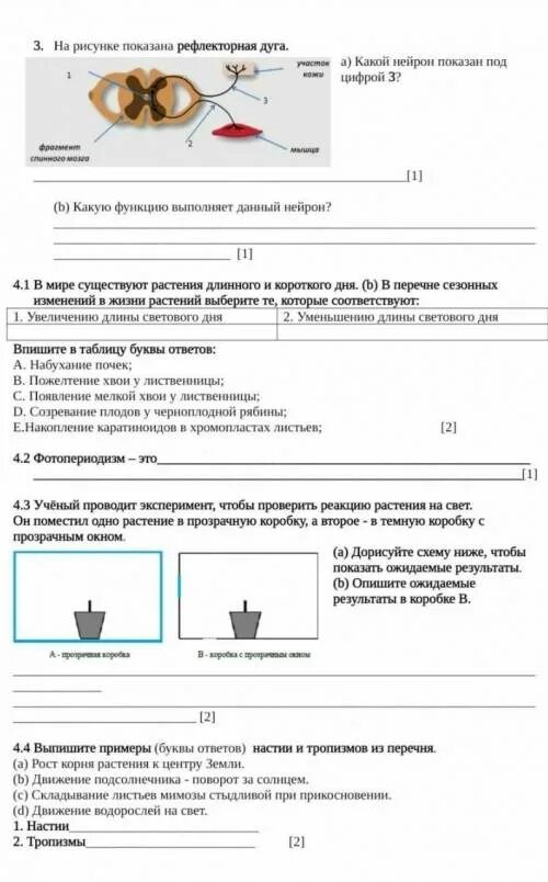 Соч по биологии 11 класс 3 четверть