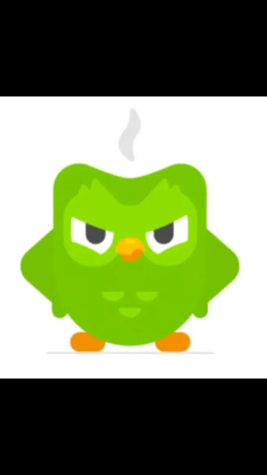 Аватар в дуолинго. Duolingo сова. дуолинго дуо. дуолинго сова убийца. сова duolingo мем.