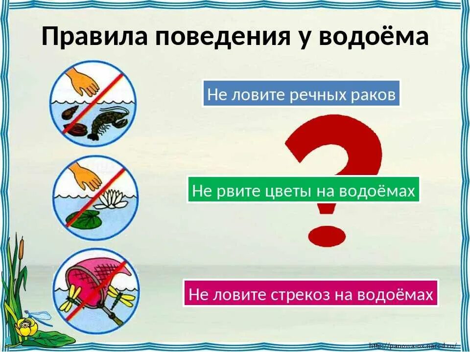 Правила проведения на водоёмах. Правила поведения на водоемах. Правила поведенияуводоемах\. Знаки правил поведения у водоема.