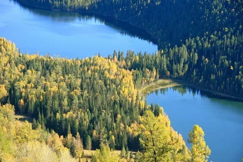 Озеро Канас. Заповедник Канас. Озеро Канас Китай. Фото природный резерват Канас Китай.