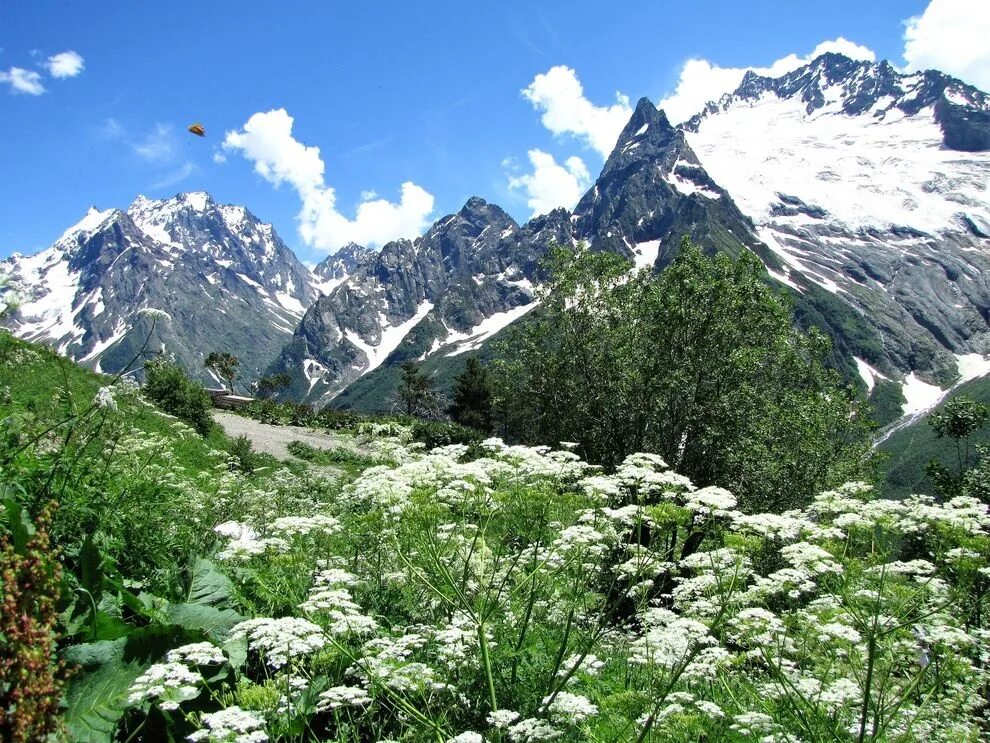 Гора мусса ачитара домбай. Пятигорск теберда. Архыз. Пятигорск теберда. Карачаево черкессия домбай.