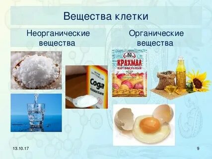 Химия в 5 классе