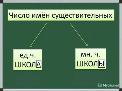 Семья в единственном числе