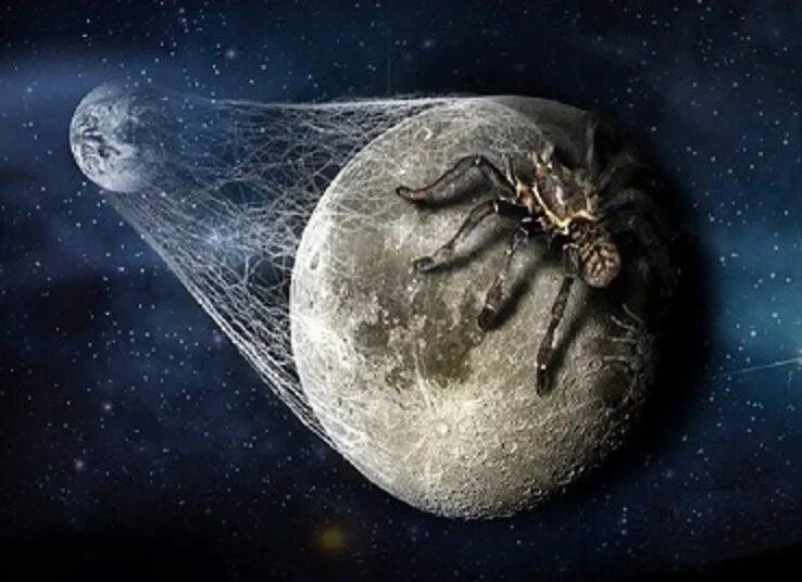 Огромный паук в космосе. Пауки в космосе. Планета пауков. Паук и Луна. Лунный паук.