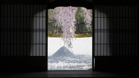 Zen blossom