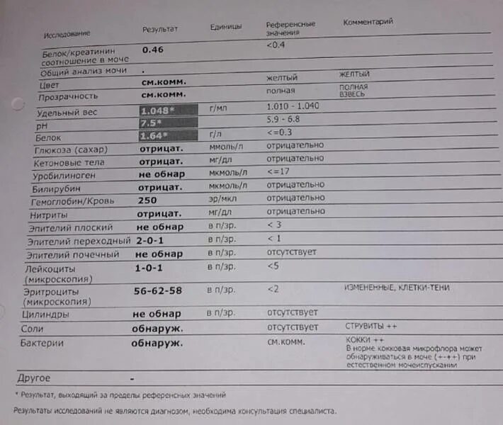 Эритроциты в моче 6 у женщин. Эритроциты в моче показатели. анализ мочи эритроциты. цистит эритроциты в моче. эритроциты в моче при цистите.
