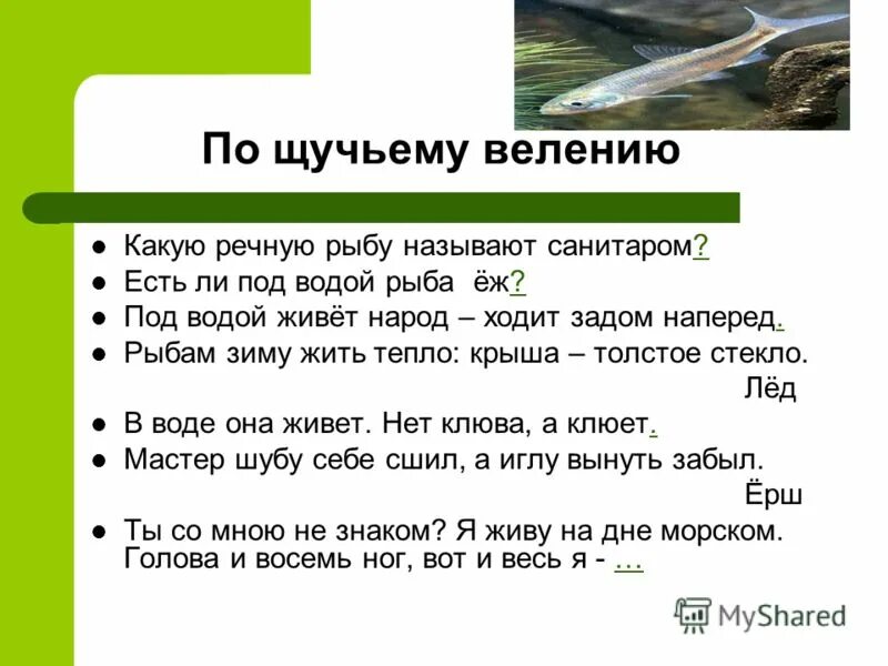 Ручей прилагательное. Словосочетания с прилагательными. Прилагательные в единственном числе. Речной какое прилагательное. Речной какое прилагательное.