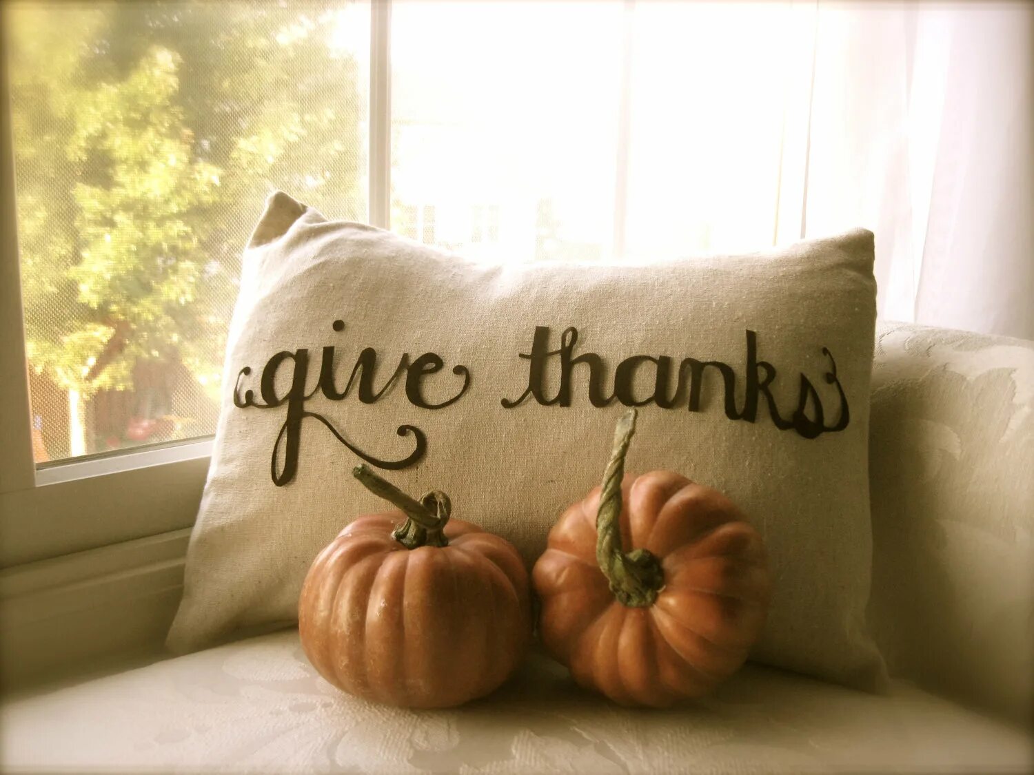 P thank. Thanksgiving. Thank you стильные оригинальные. Thanksgiving traditions. The Thanksgiving Families give thanks.