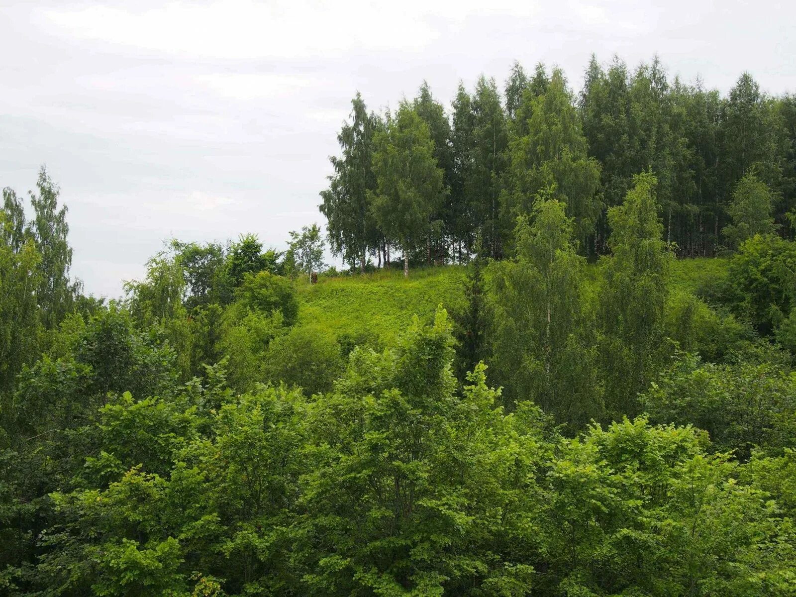 Вятка (река) истобенск. Городище киров. Никульчино киров. Никульчинское городище. Карлутское городище в ижевске.