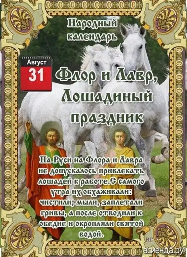 31 августа 2025 года. 31 августа 2025 года