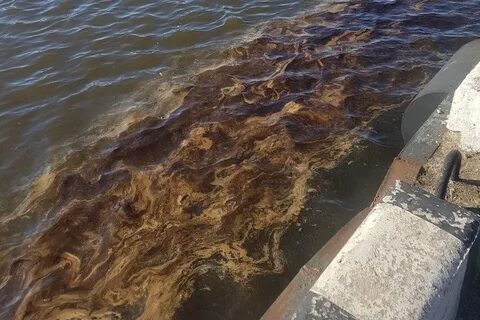 Вода в спб жесткая или