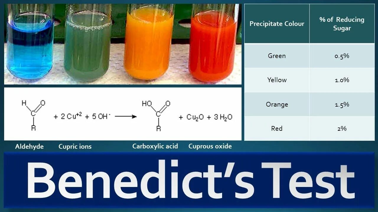 Тест 2 углеводы. Benedict's Test.