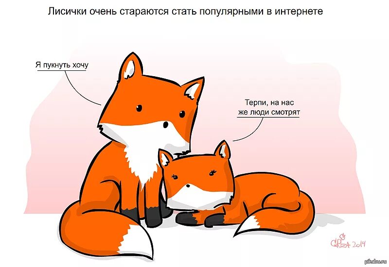 Характеристика рыжая лисичка ищет местечко для отдыха