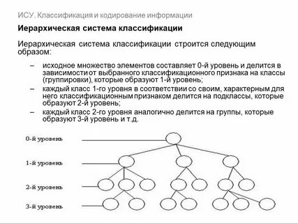 Практическая система классификации