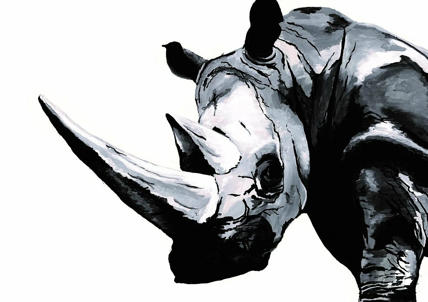 Изображения носорога. Носорог. Злой носорог. Носорог арт. Носорог рисунок.