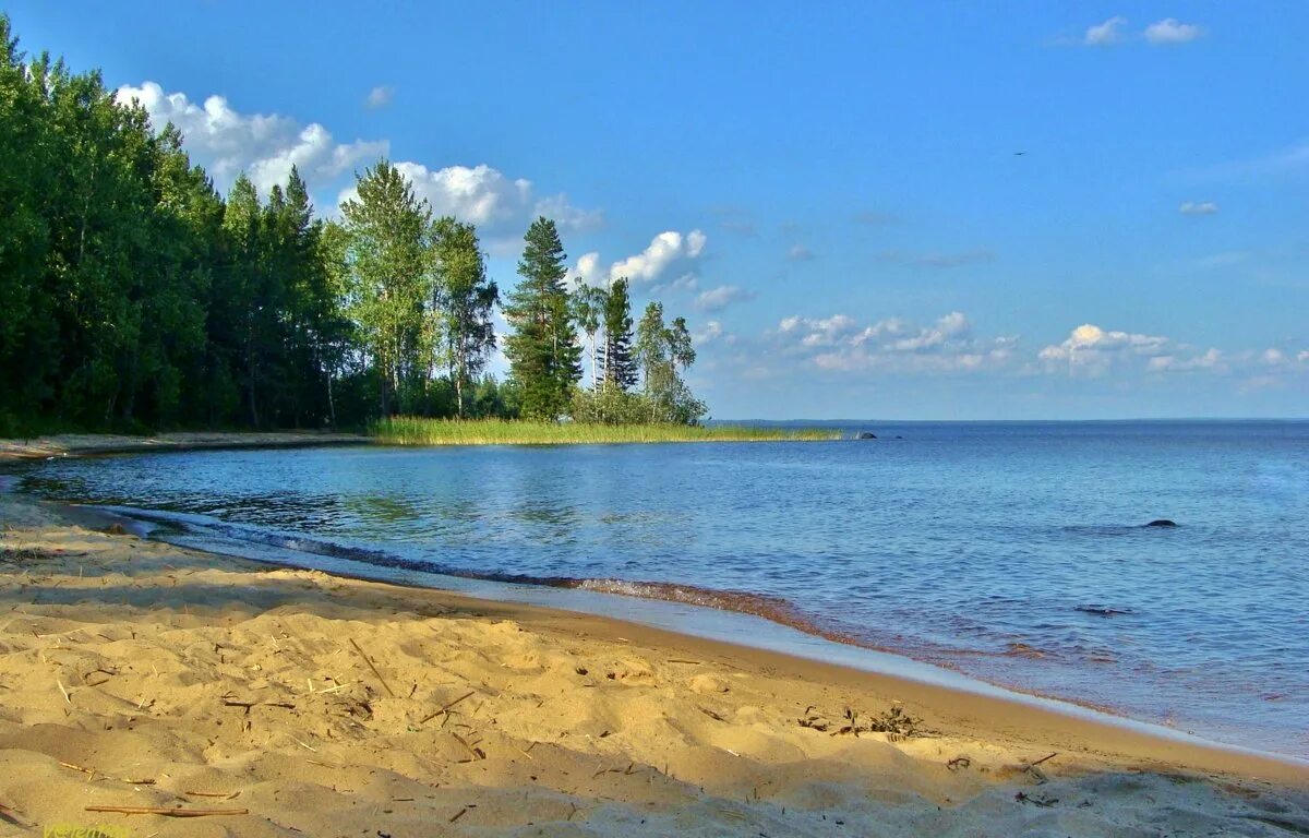 Озеро пляж фото. Берег Онежского озера, Карелия. Онежское озеро Петрозаводск. Онежское озеро пляж. Пляжи Онежского озера в Карелии.