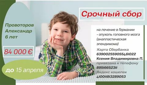 Поможем александру