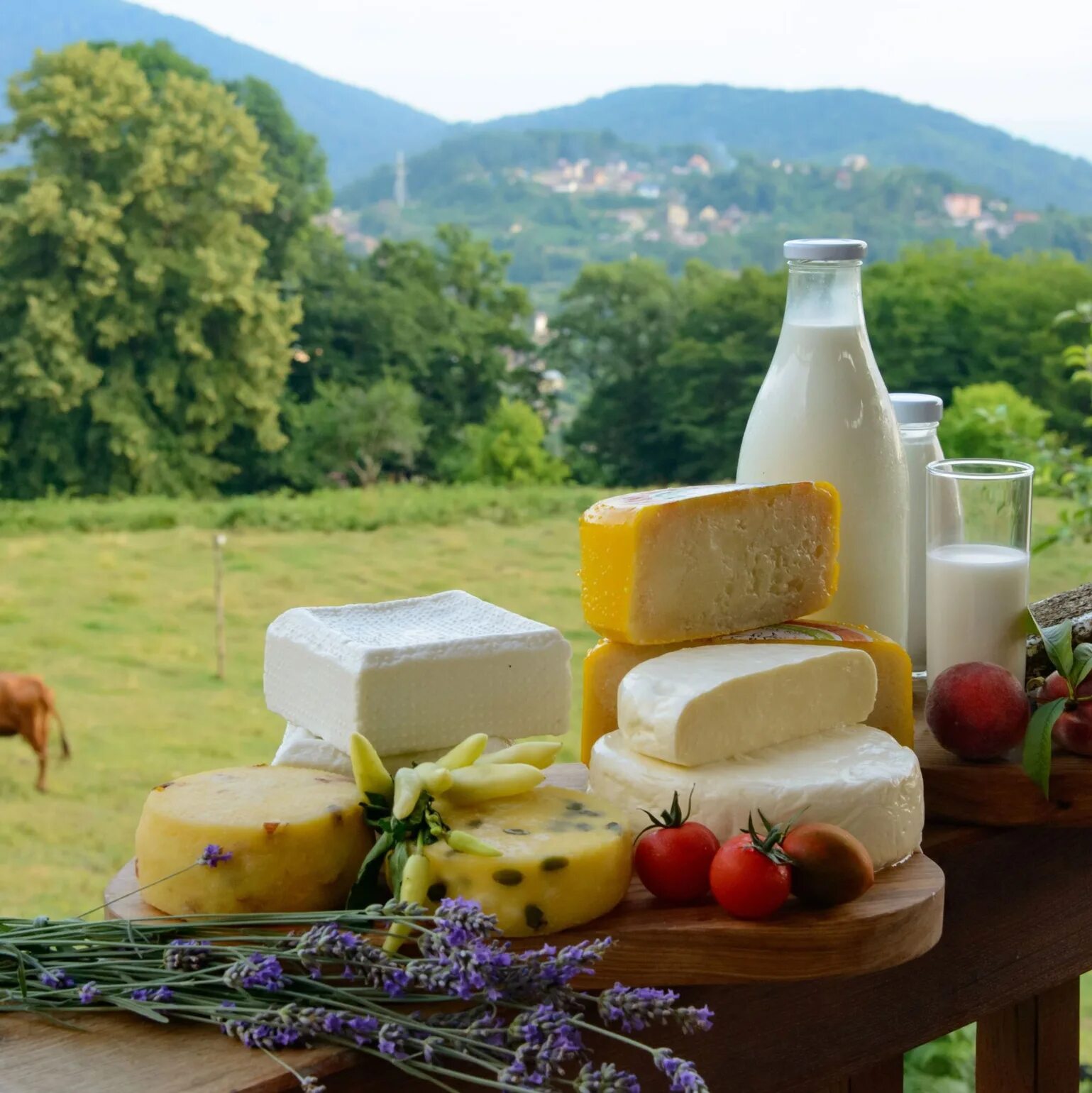 Молочные продукты с фермы. Молоко экоферма. Молочные экофермы. Экоферма экзархо. Ферма экзархо сочи воздушный шар.