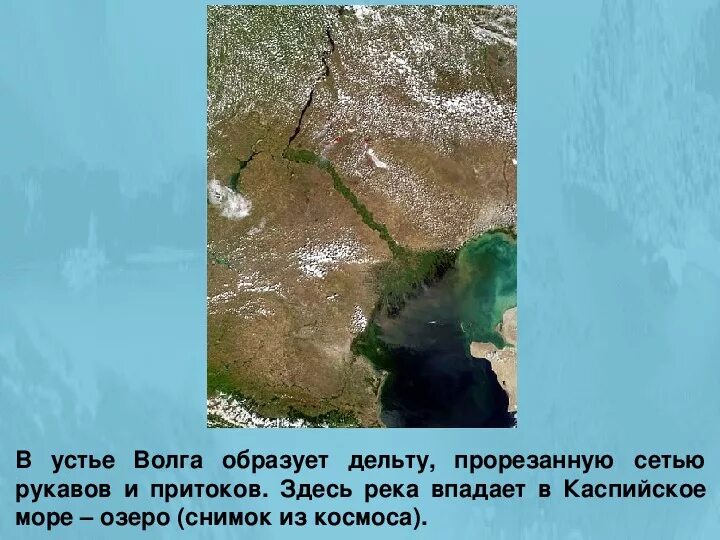 В какое море впадает волга. Место впадения реки Урал в Каспийское море. Волга впадает в Каспийское море.