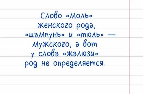 Звуки моли