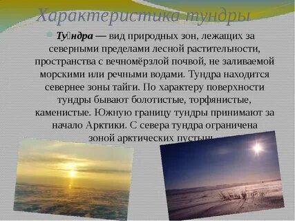 Дай краткую характеристику зоны тундры