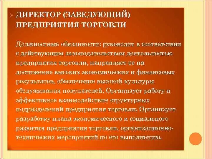 В чем заключается работа директора