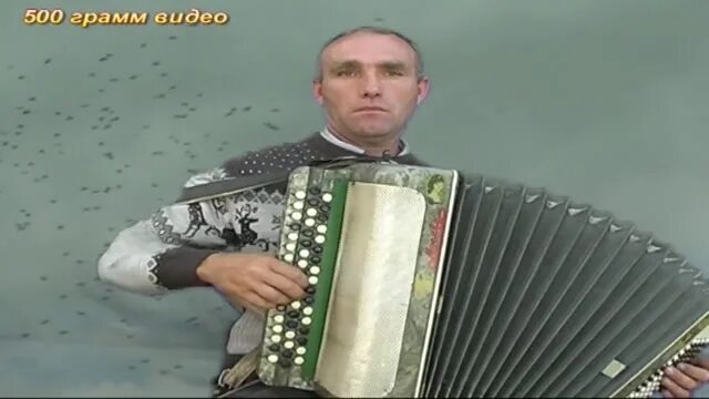 Баянист в иностранной чат. Баянист в иностранной чат