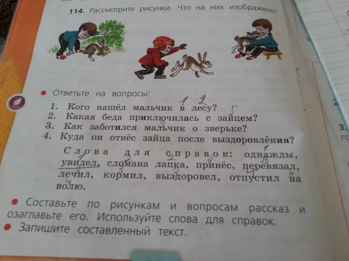 Рассмотри рисунки прочитай слова. Сочинение заяц в лесу. Рассказы для 2 класса. Сочинение про зайца. Однажды мальчик нашел в лесу зайца.