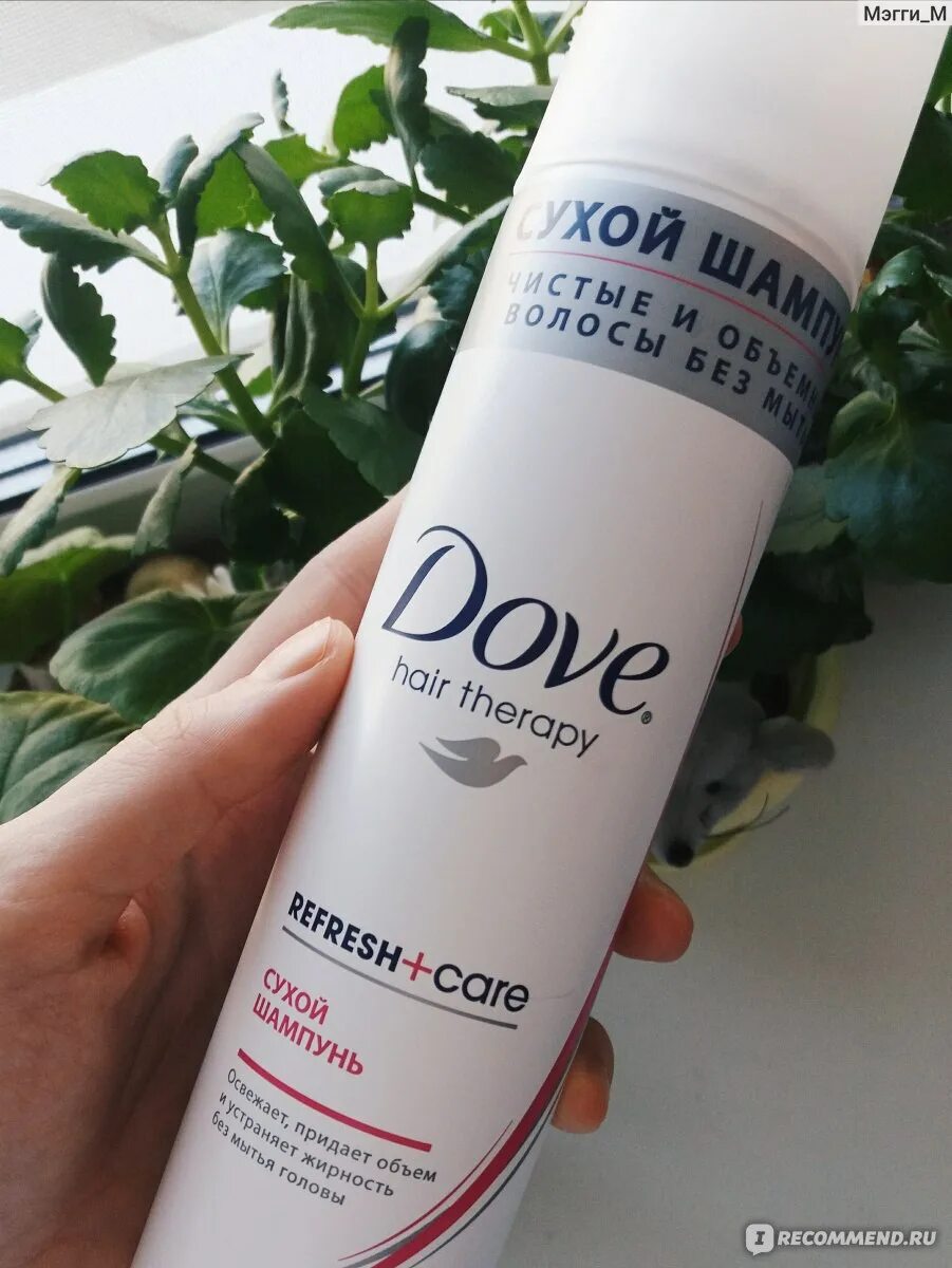 Сухой шампунь dove Dry Shampoo. Сухой шампунь dove без запаха. Dove Bew Fresh сухой шампунь. Шампунь сухой New dove 200 мл. Сухой шампунь dove