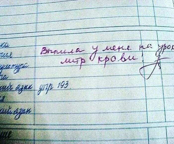 Что нибудь школьное