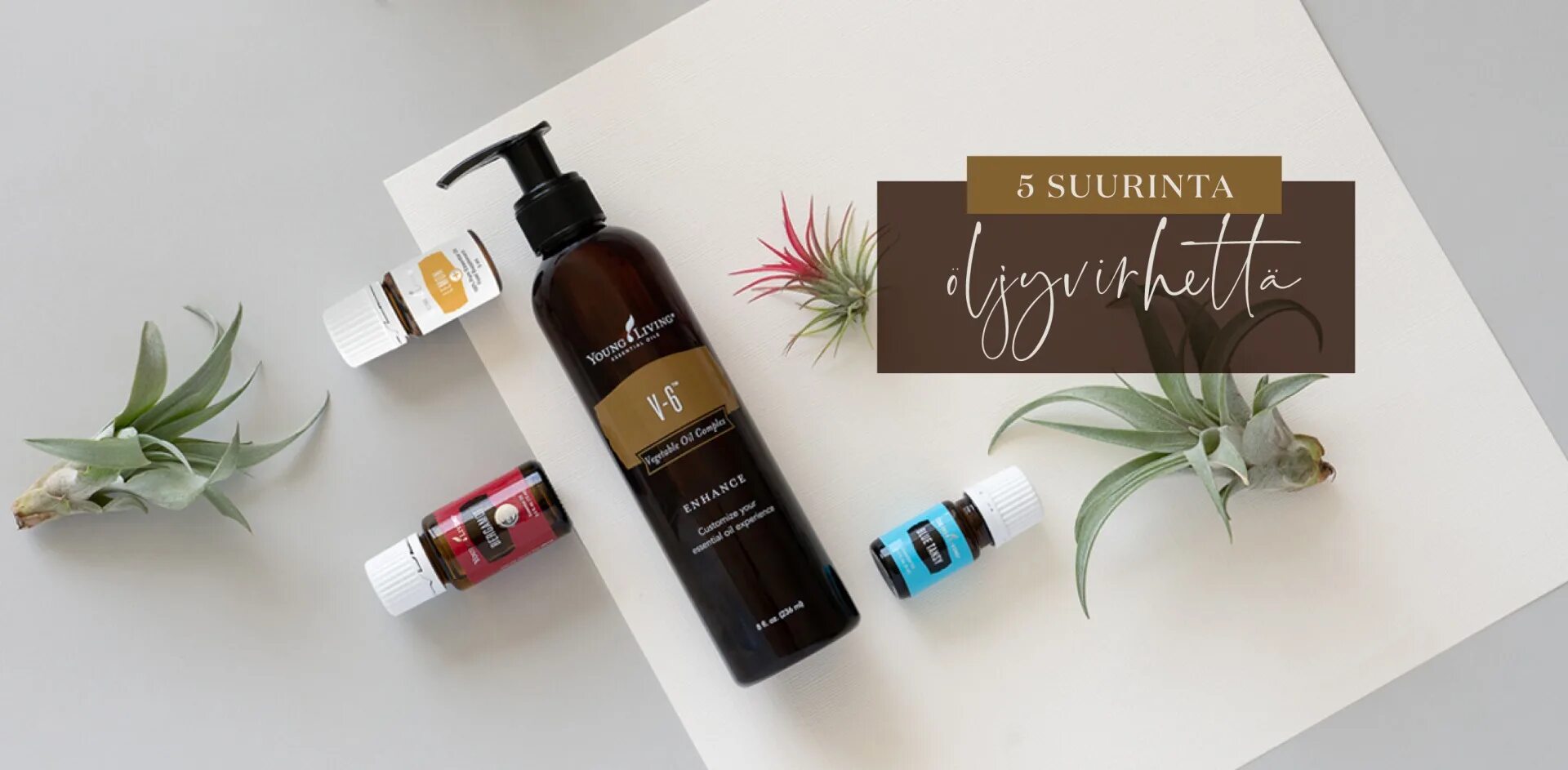 Living отзывы. V6 young Living масло. V 6 young Living. Ливинг-гаден. V-6 young Living 944.