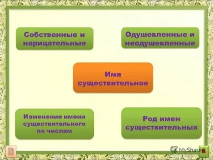 На какие вопросы отвечают нарицательные имена существительные