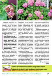 При какой температуре выносить гортензию на улицу